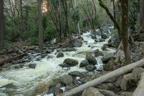 Yosemite-202web