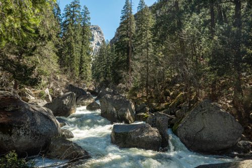 Yosemite-245web
