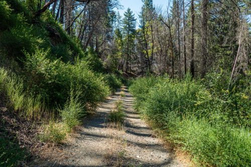 corral bottom-205web