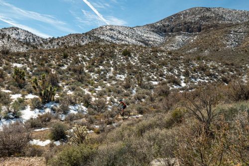 cowboy trails-200web