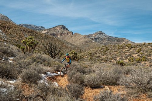 cowboy trails-203web