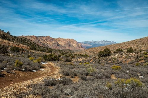 cowboy trails-208web