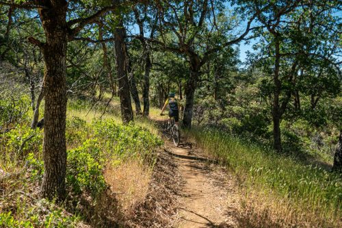 weaverville mtb 4-203web