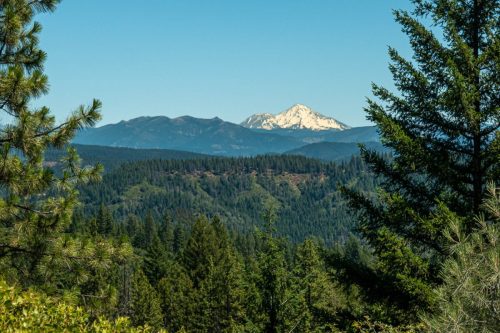 weaverville mtb 4-207web