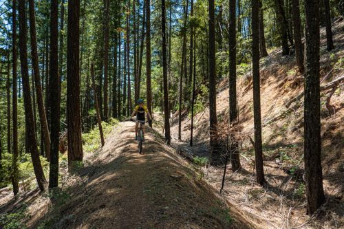 weaverville mtb 4-216web