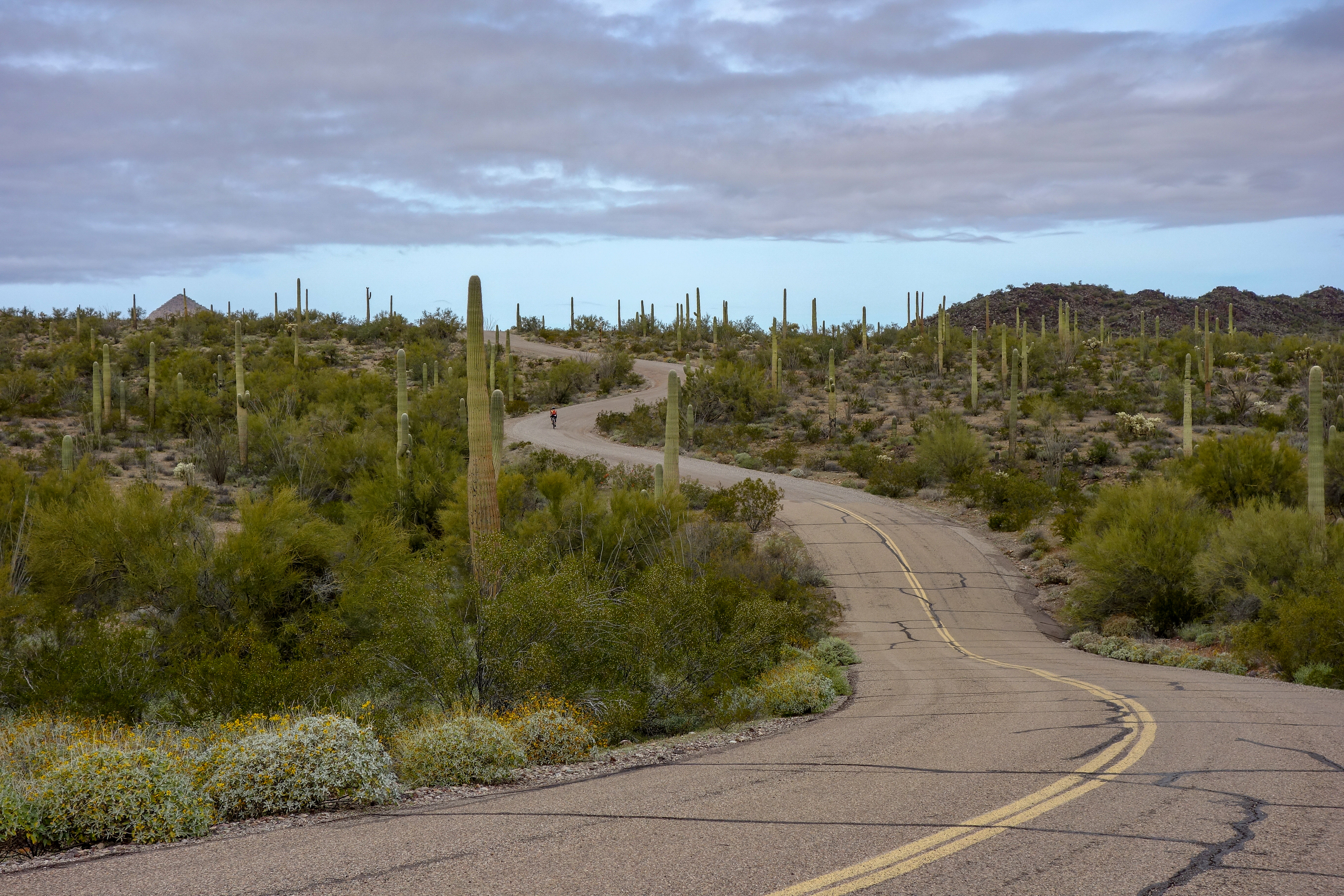 Puerto Blanco Loop