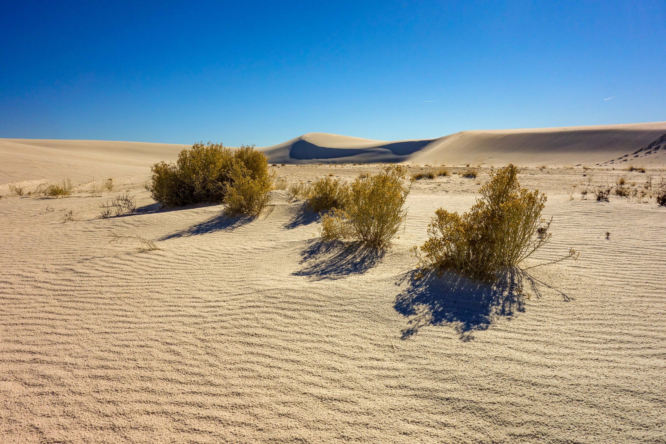 White Sands National Park