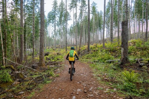 Buzzard Butte-201web