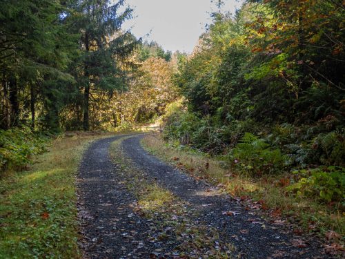 Cole Mountain-204web