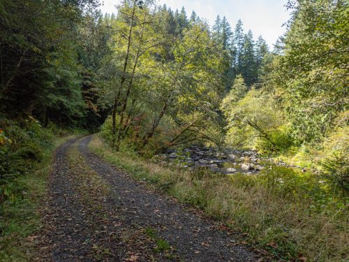 Cole Mountain-210web