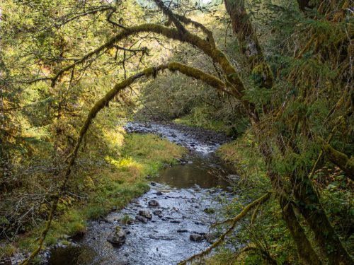 Cole Mountain-214web