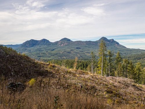 Cole Mountain-227web