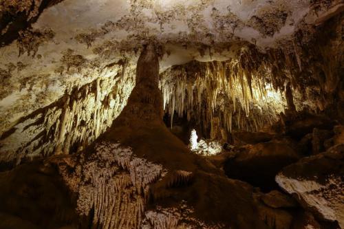 Carlsbad Caverns National Monument