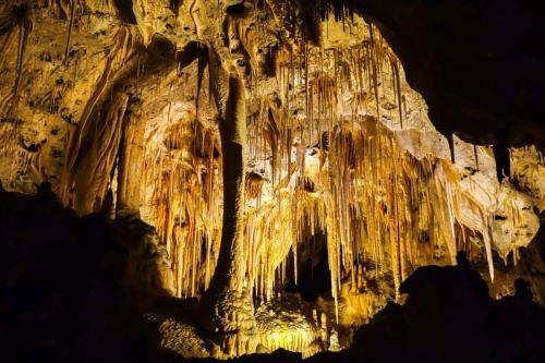 Carlsbad Caverns