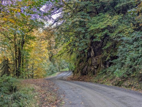 Foss Road-205web
