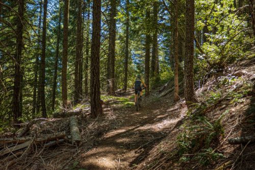 Lacks Creek-201web
