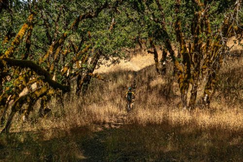 Lacks Creek-206web
