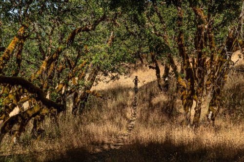 Lacks Creek-208web