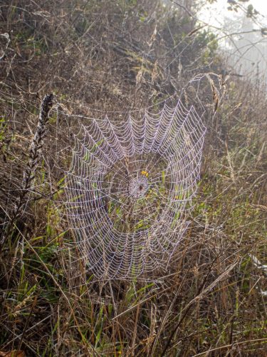 Rockaway gravel-200web