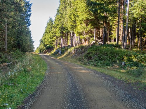Rockaway gravel-204web