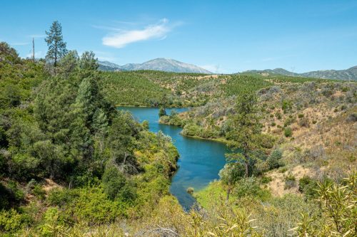 Sacramento river trail ride-210web