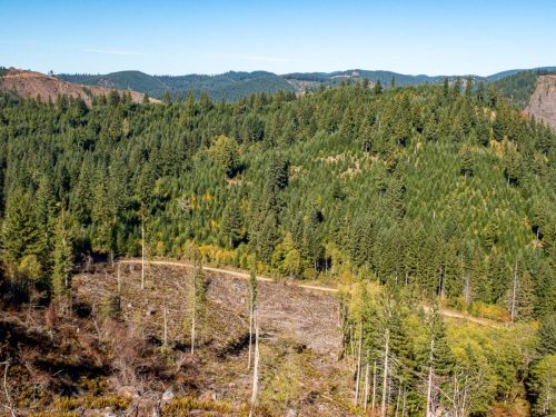 Trask Peak-217web