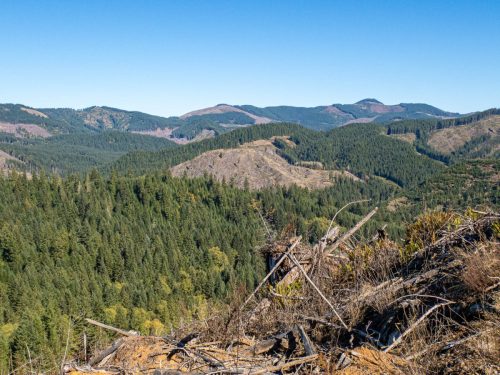 Trask Peak-218web