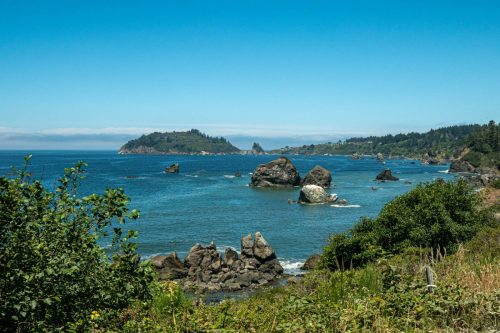 Trinidad coast-205web