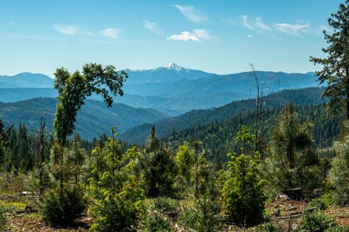Trinity Lake Gravel-200web