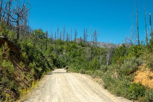 Whiskeytown Lake-202web