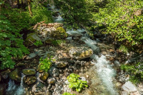 Whiskeytown Lake-206web