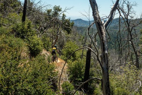 Whiskeytown Lake-207web