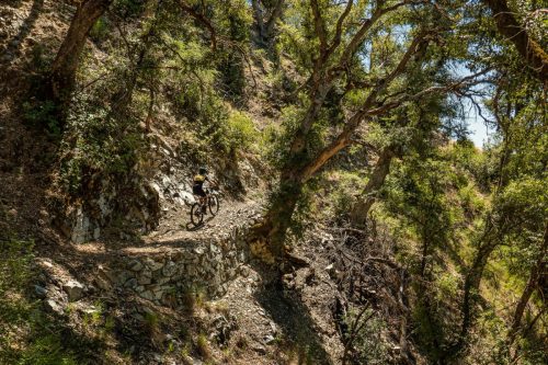 Whiskeytown Lake-209web