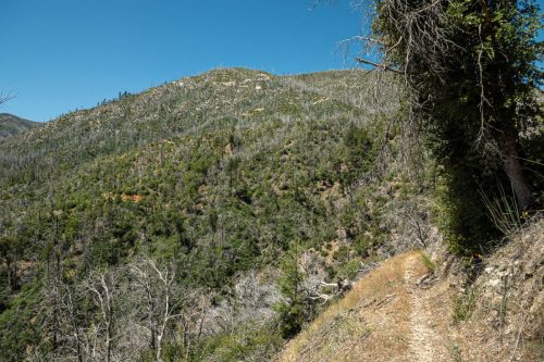 Whiskeytown Lake-210web