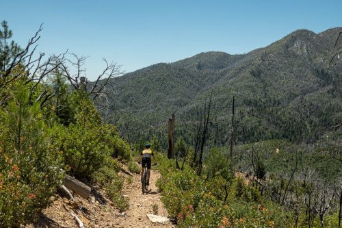Whiskeytown Lake-211web