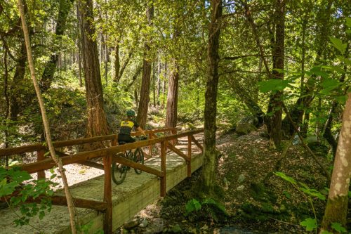 Whiskeytown Lake-216web