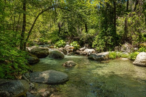Whiskeytown Lake-218web