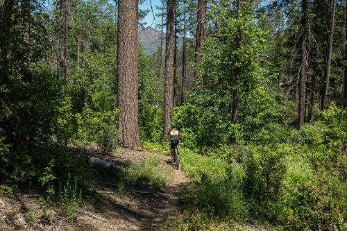 Whiskeytown Lake-220web