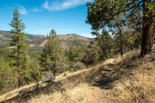 Yreka-210web